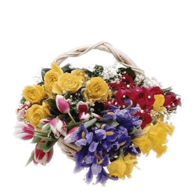 02 Composizione Primavera