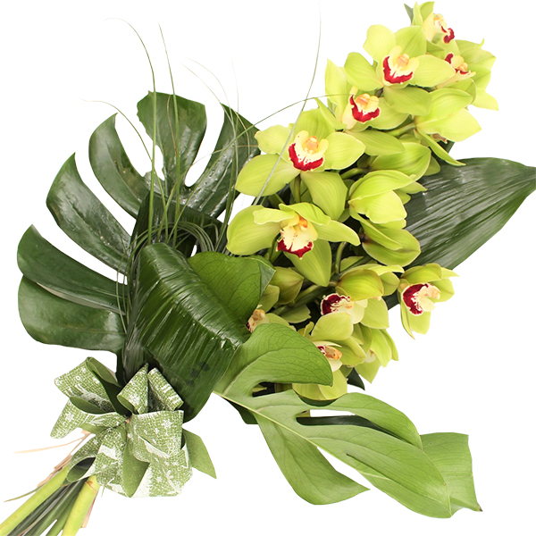 Italia in fiore consegna ramo_orchidea in Italia