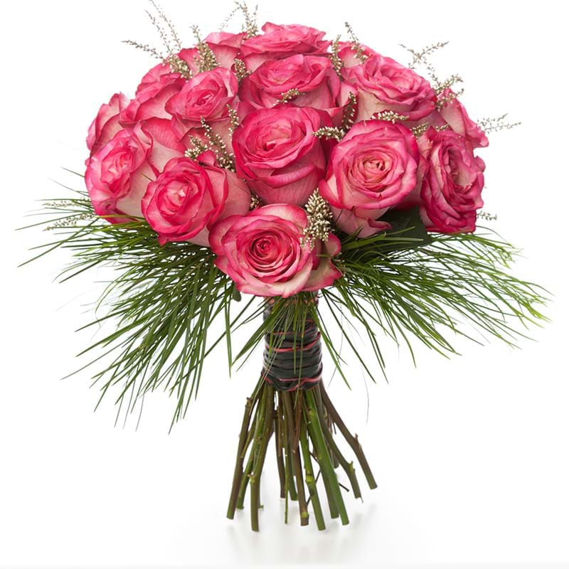 Italia in fiore consegna rose fuxia in Italia