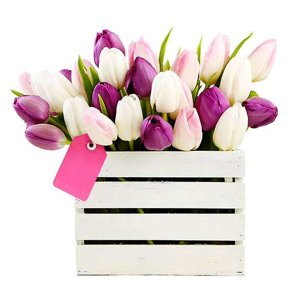 Italia in fiore consegna tulipani in cassetta in Italia