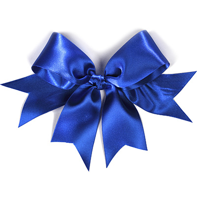Aggiungi Accessorio o Gadget per il tuo fiore: 03 Fiocco Blu