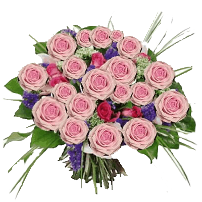 Italia In Fiore Com Invia Online Bouquet Di Rose Rosa