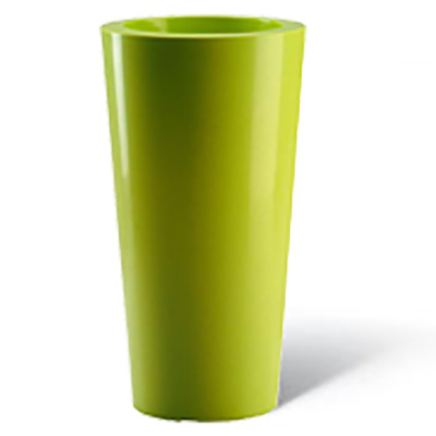 Aggiungi Accessorio o Gadget per il tuo fiore: 00 Vaso Verde