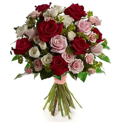 Italia in fiore consegna rose rosse e rosa in Italia