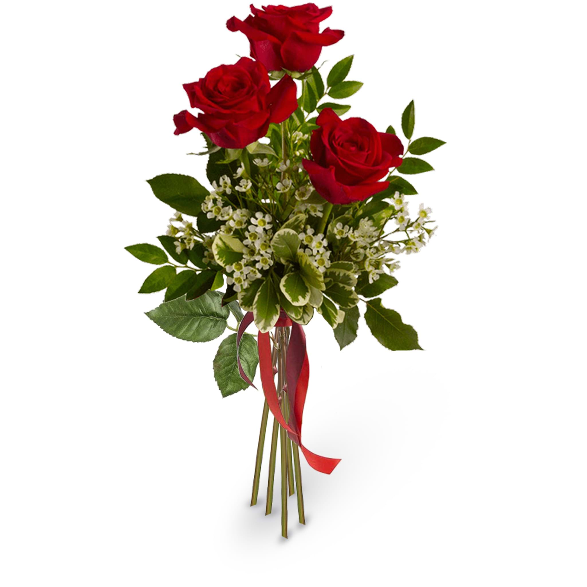 cerca offerte di 3 rose rosse