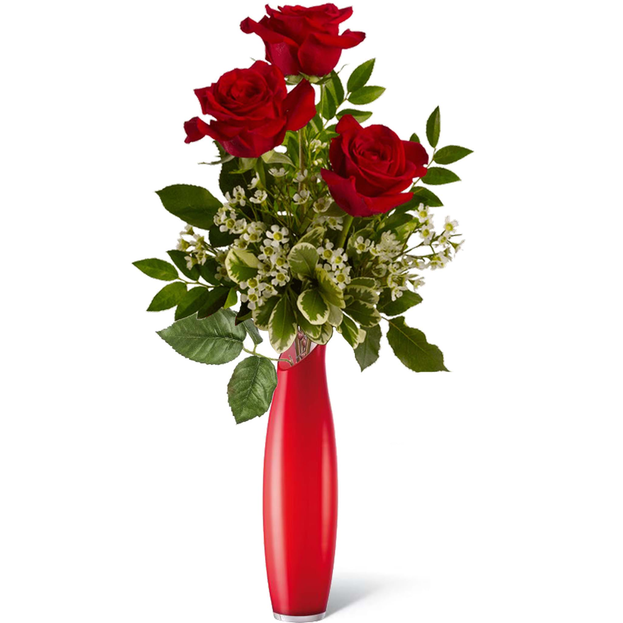 Spedire 3 rose rosse in vaso rosso