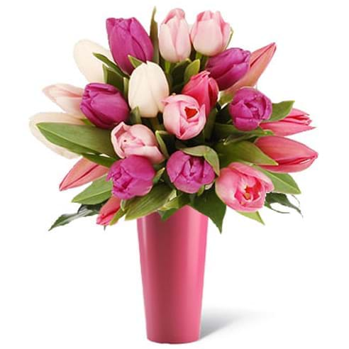 Spedire tulipani rosa con vaso rosa