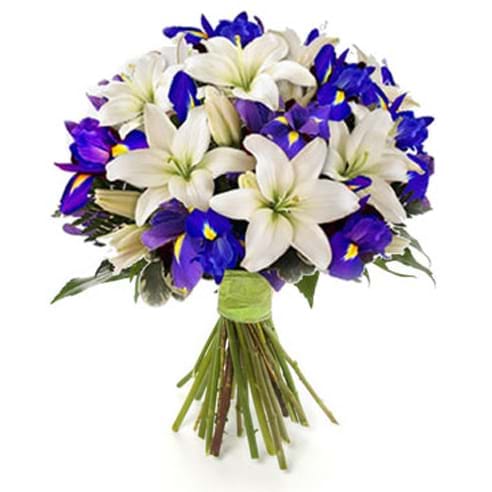 Spedire iris e lilium 