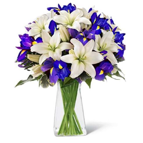 Spedire iris e lilium in vaso