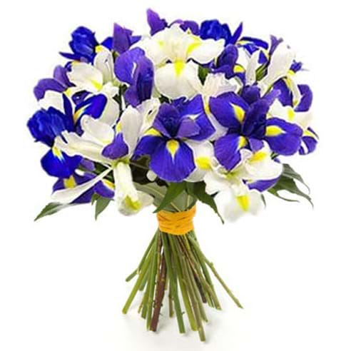 Spedire bouquet iris