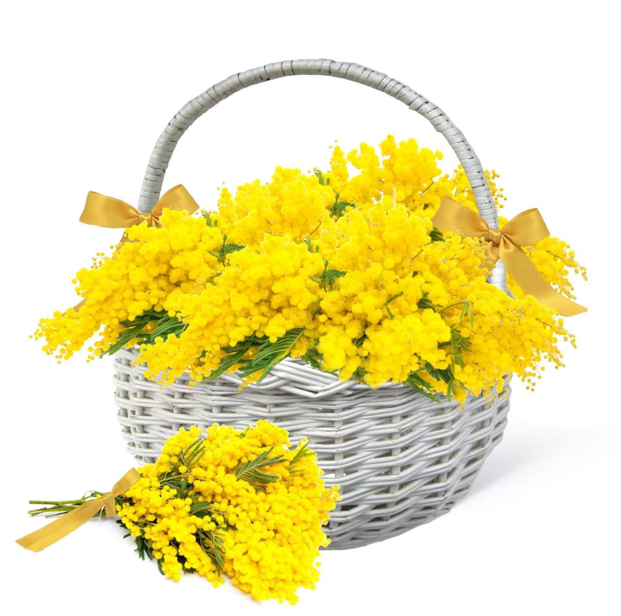cerca offerte di cesto con 50 mimose