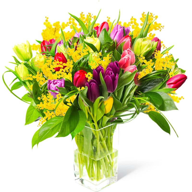 Spedire Tulipani colorati con mimosa in vaso