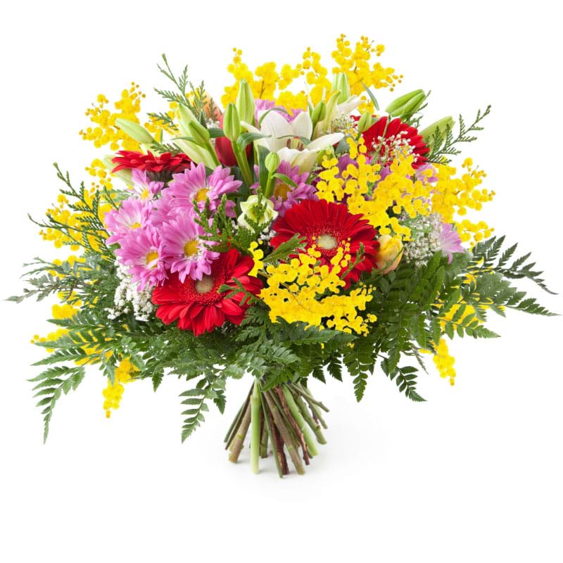 cerca offerte di fiori misti con mimosa