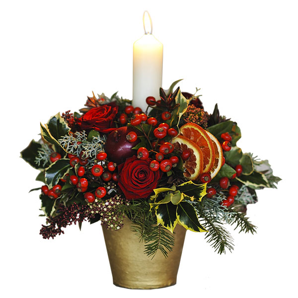 cerca offerte di fiori natale