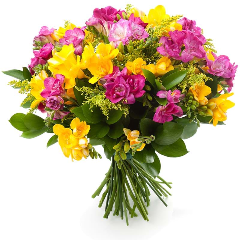 Spedire fresie gialle e rosa