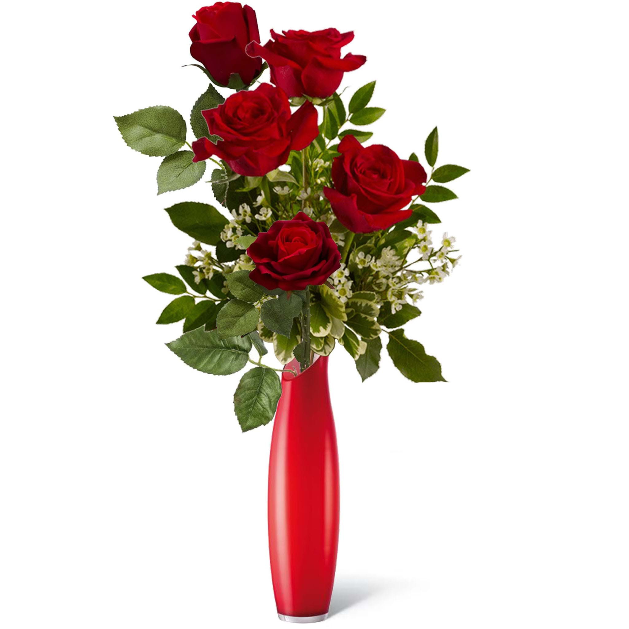 Spedire mazzo di 5 rose rosse in vaso rosso