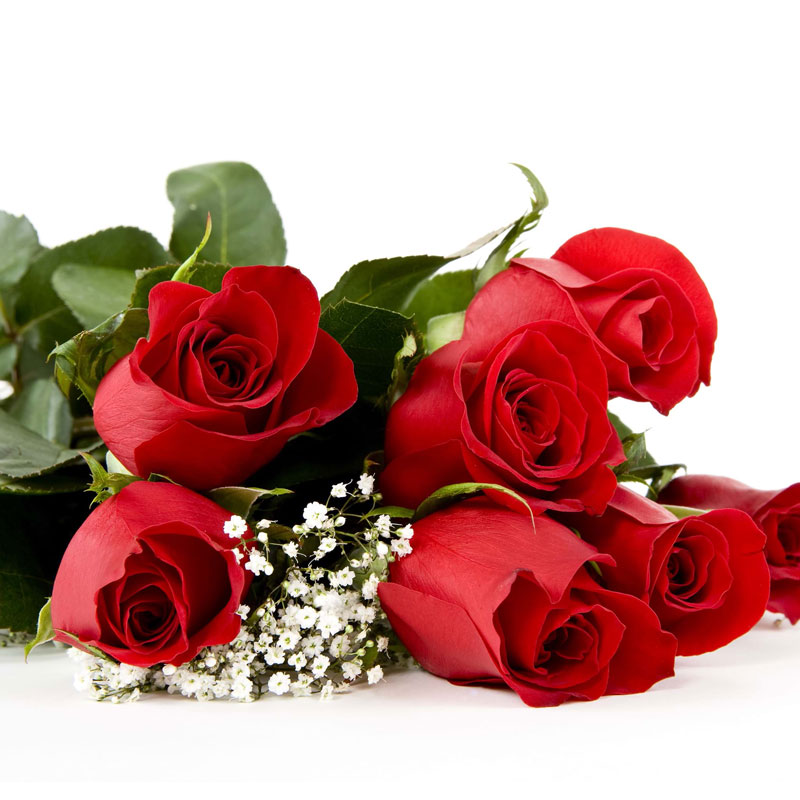 Spedire mazzo di 7 rose rosse particolare