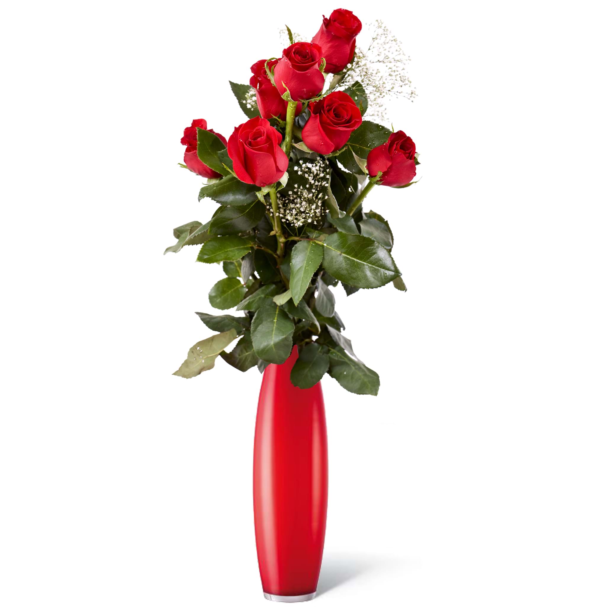 mazzo di 7 rose rosse con vaso