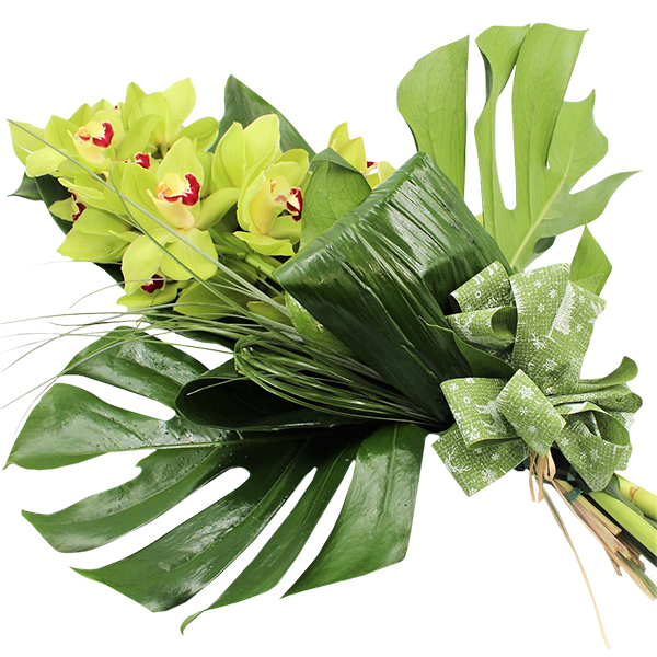 Spedire ramo_orchidea_2