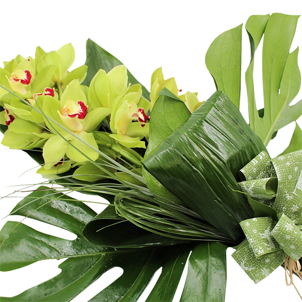 Spedire ramo_orchidea_3