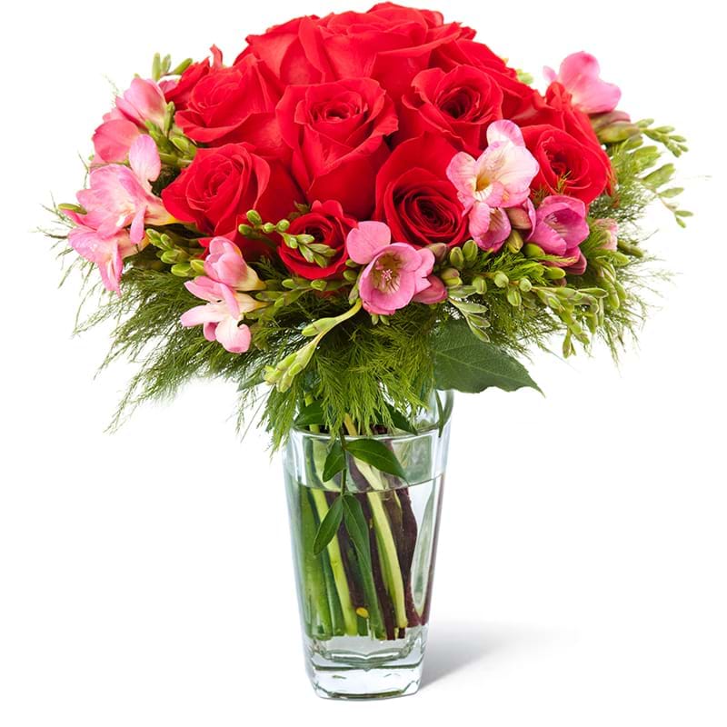 Spedire rose rosse e fresie in vaso