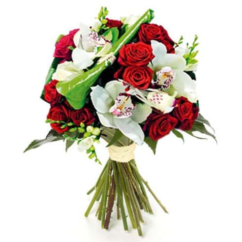 cerca offerte di rose rosse e orchidee