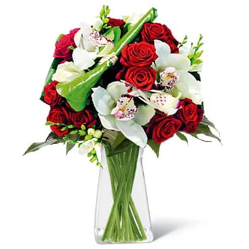 Spedire rose rosse e orchidee in vaso