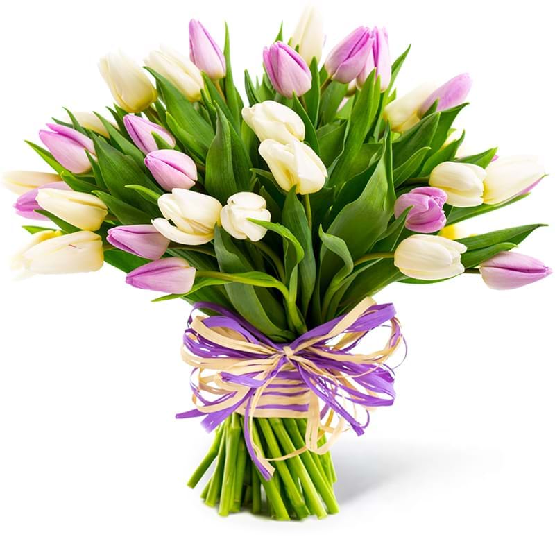 Spedire tulipani bianchi e rosa