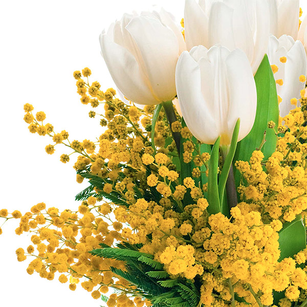 Spedire tulipani bianchi con mimosa particolare