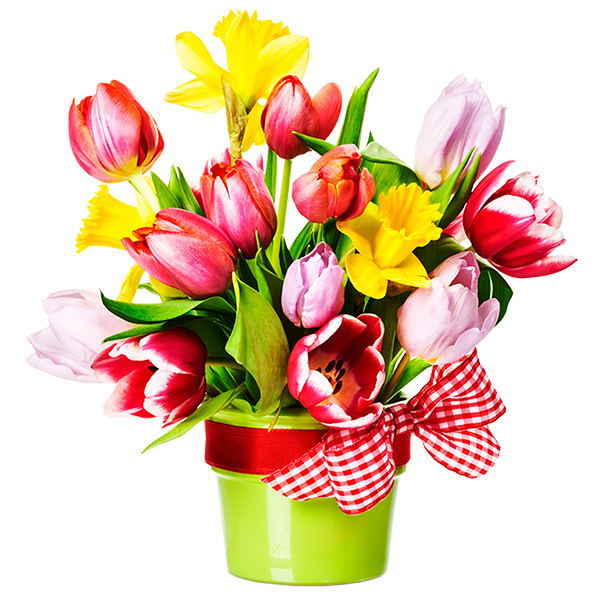Spedire tulipani gioiosi