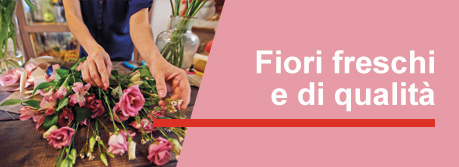 Rose Rosse in Scatola in 2 ore