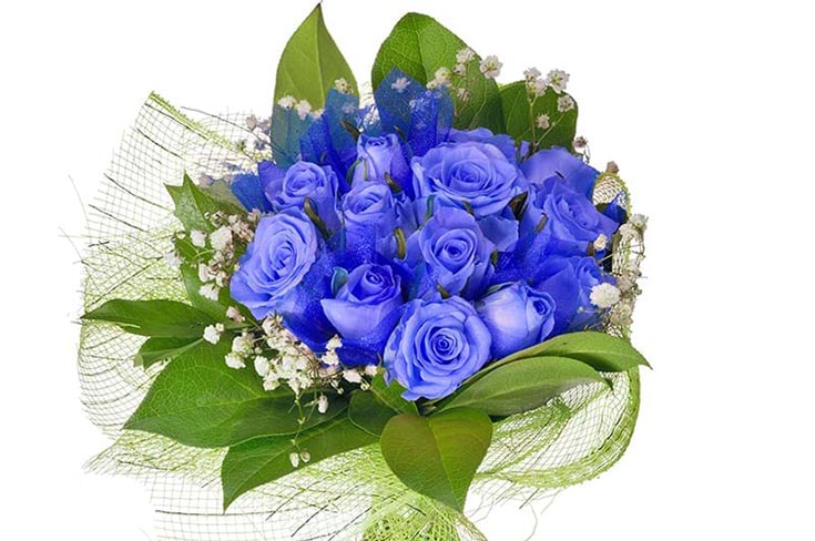 Mazzo di rose blu