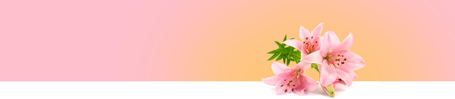 Scopri le nostre offerte di invio Lilium
