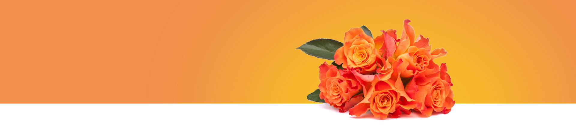 Scopri le nostre offerte di invio Rose arancioni
