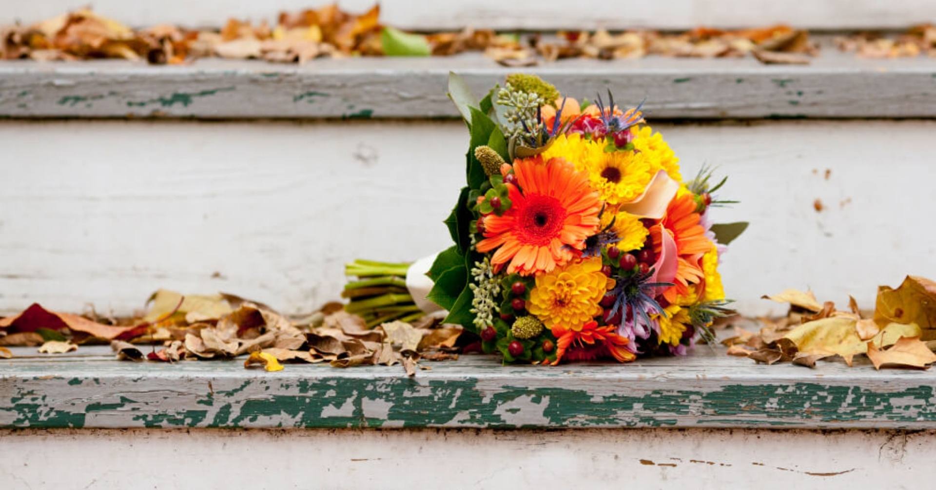 Regala fiori e piante e celebra il matrimonio d'autunno.