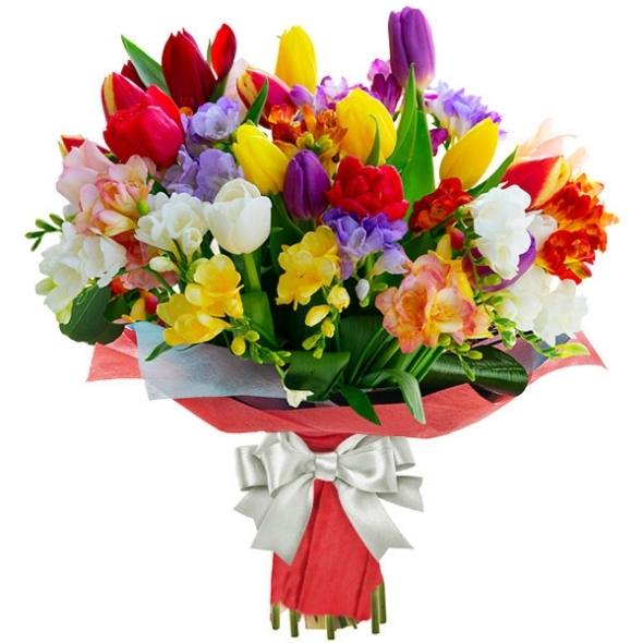 primavera colorata