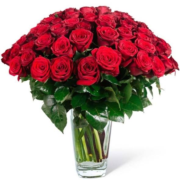 50 rose rosse
