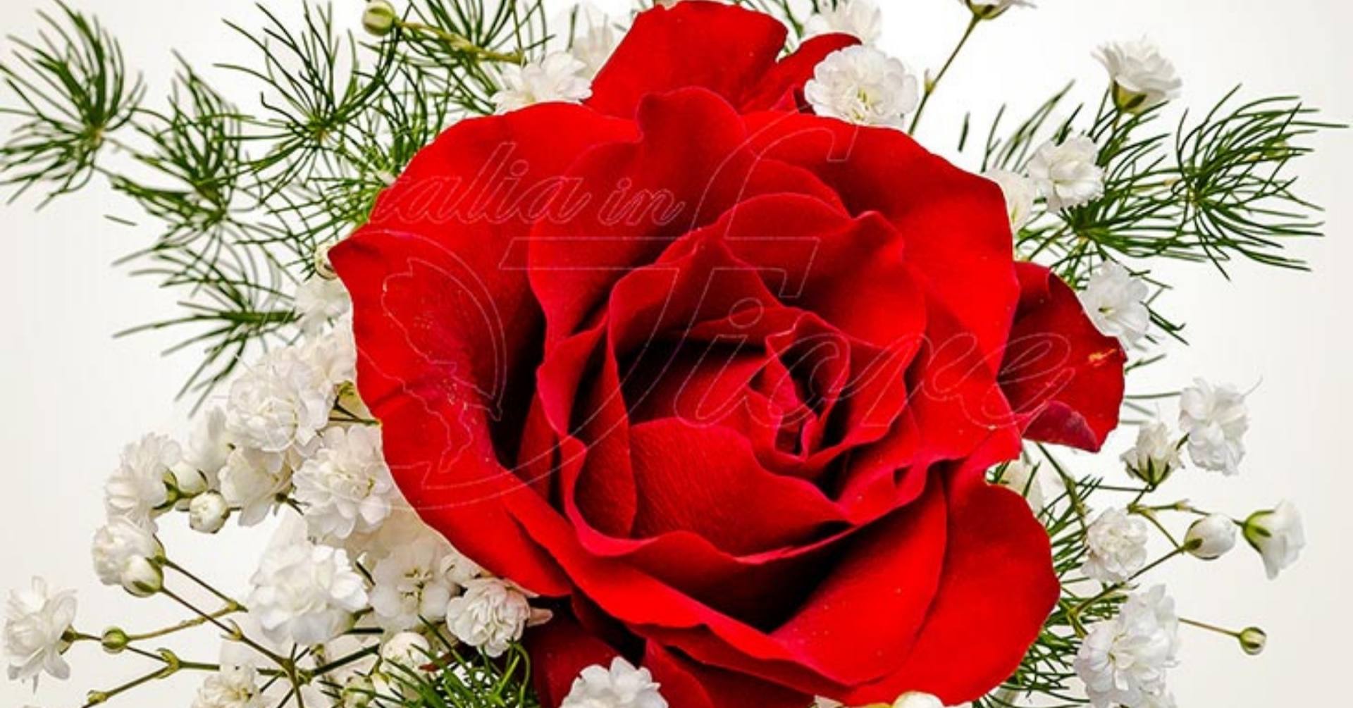 Fiori a domicilio per San Valentino