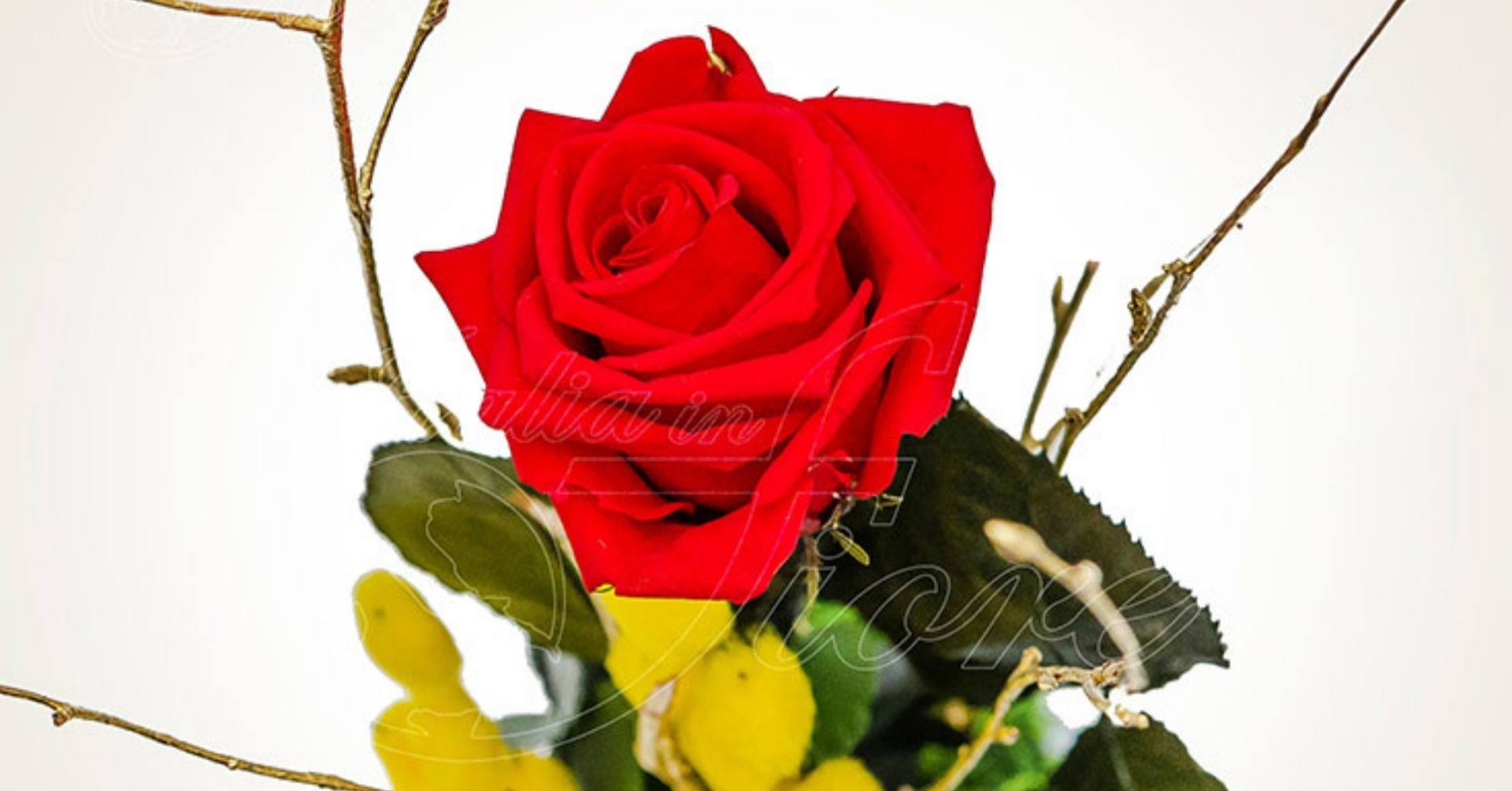 Fiori per ogni occasione