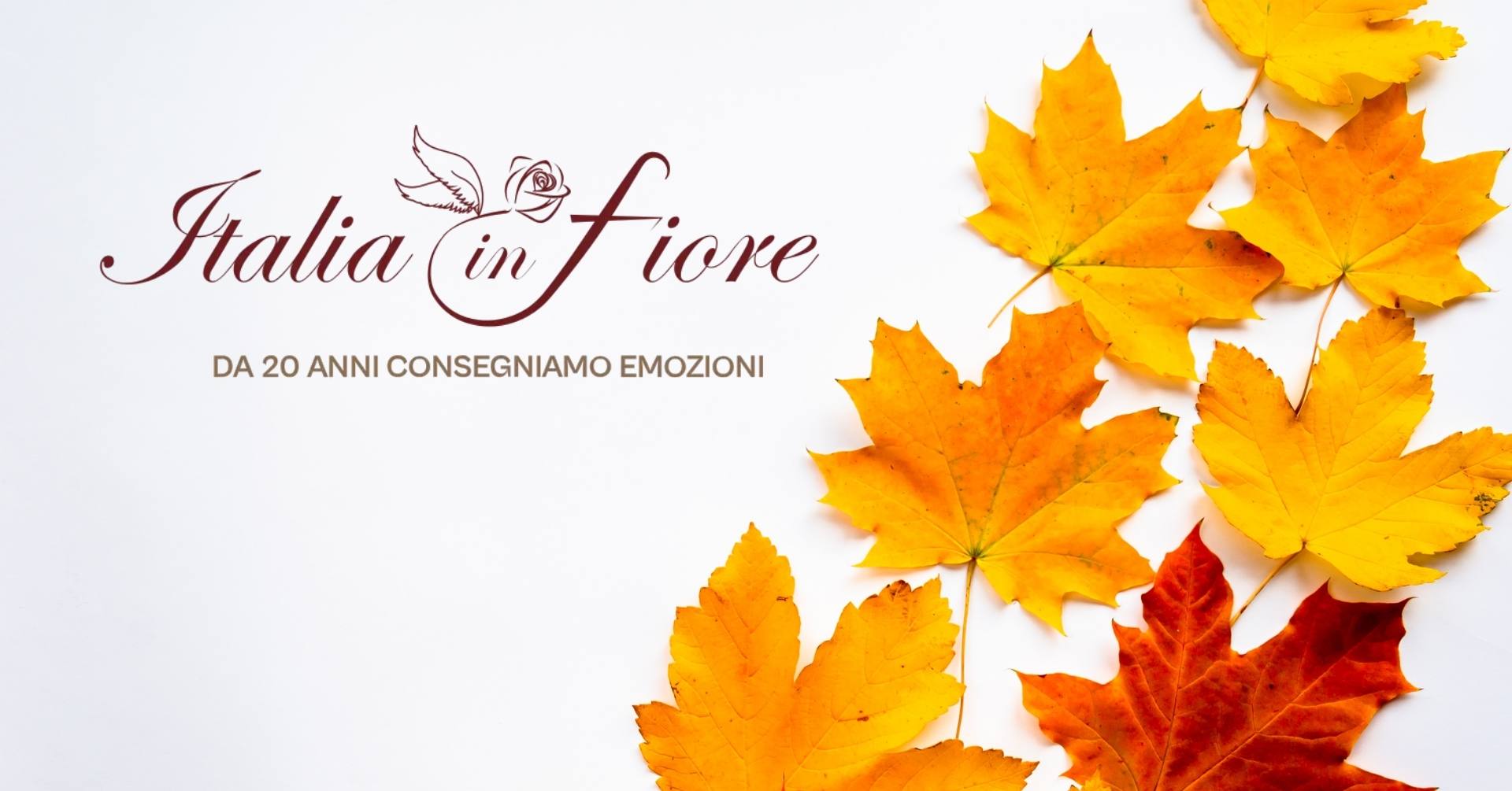 Fiori di novembre colori e profumi per illuminare i giorni più grigi