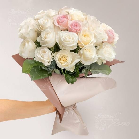 rose bianche