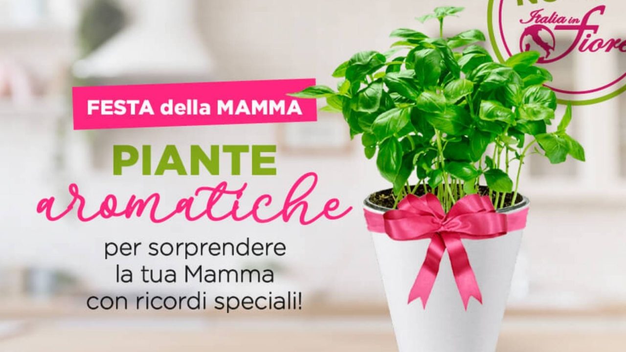 Che profumo ha la mamma