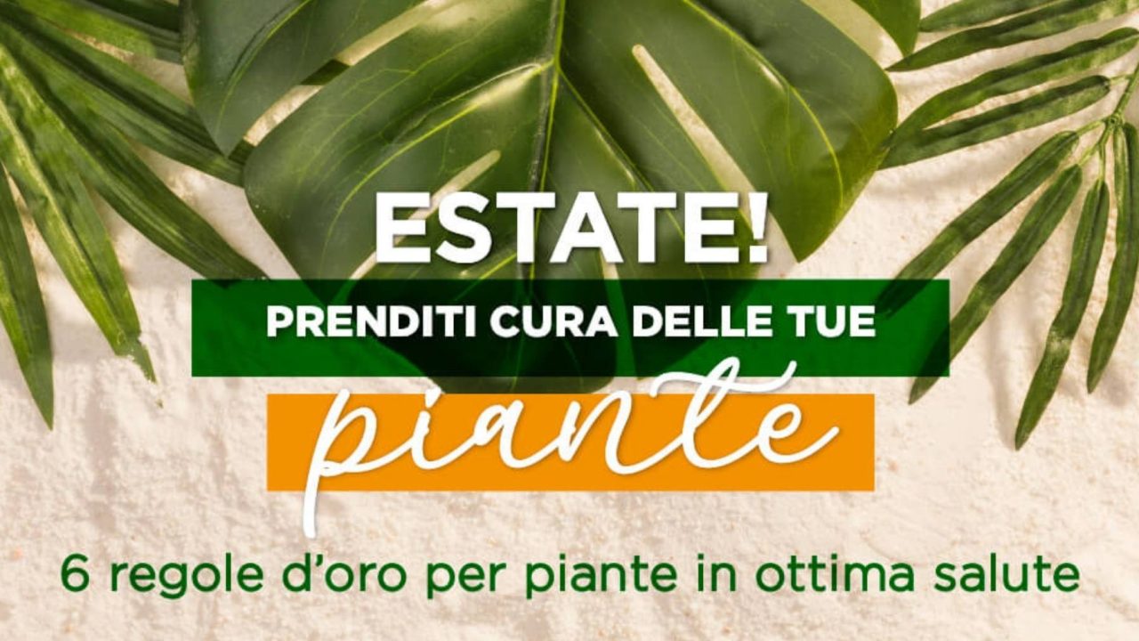 Prenditi cura delle tue piante anche in estate!