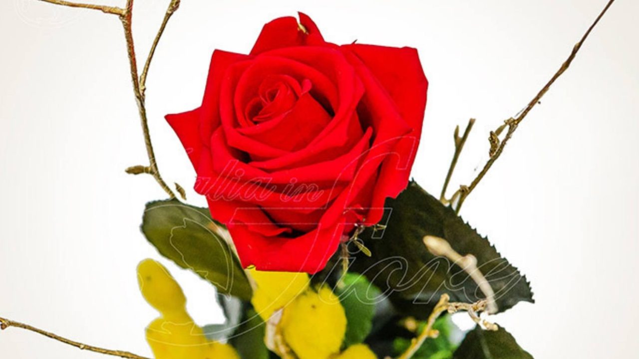 Relazione a distanza Fiori, Rose per dimostrare amore a San Valentino
